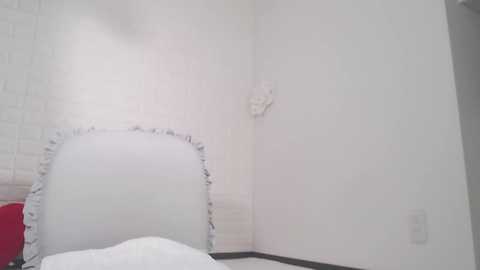 kamizono_maria @ stripchat on 20241125