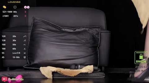 melia_z @ stripchat on 20241125