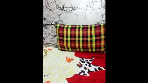 nasreenkhan03 @ stripchat on 20241125