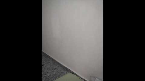 akirti_sharma @ stripchat on 20241126