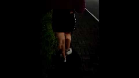 brendajarol @ stripchat on 20241126