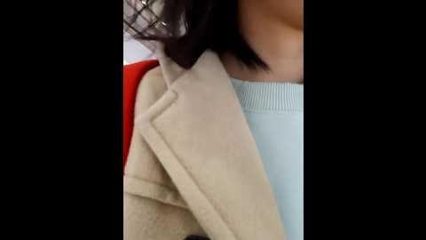 chestnut023 @ stripchat on 20241126