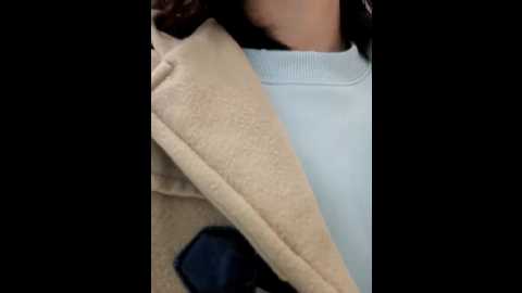 chestnut023 @ stripchat on 20241126