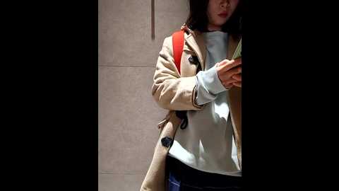 chestnut023 @ stripchat on 20241126