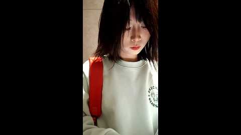 chestnut023 @ stripchat on 20241126