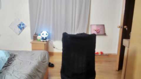 jiajia163 @ stripchat on 20241126