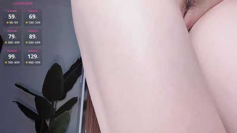 krismil3 @ stripchat on 20241126