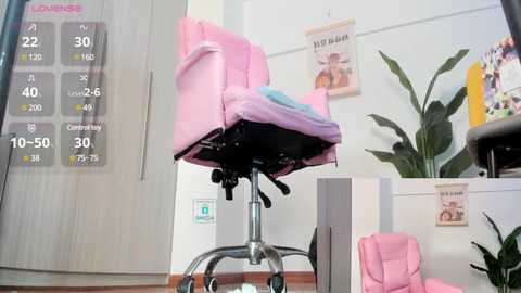 oo_kaixin_oo @ stripchat on 20241126