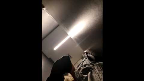 public_katrisha @ stripchat on 20241126