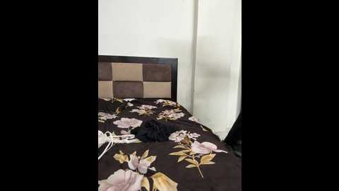 aashi66 @ stripchat on 20241127