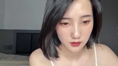 arrebo1 @ stripchat on 20241127