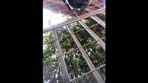 emma_tour @ stripchat on 20241127