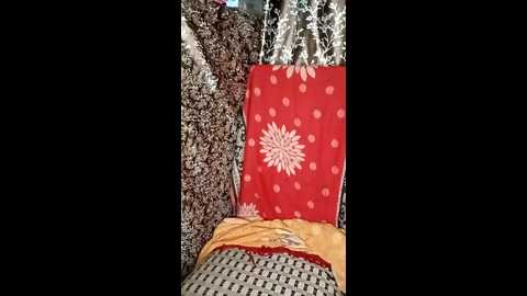hansikaa