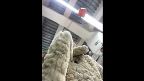 holly_molii @ stripchat on 20241127