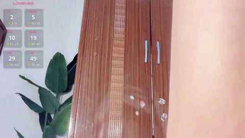 krismil3 @ stripchat on 20241127