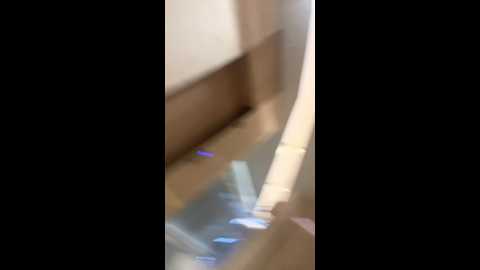 ok_lala @ stripchat on 20241127