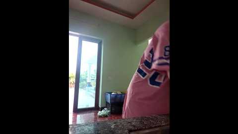 zizi_public @ stripchat on 20241127