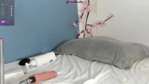 antonellasmith00