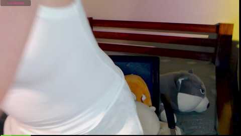 chou_leo @ stripchat on 20241128