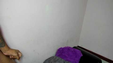 gag_project @ stripchat on 20241128