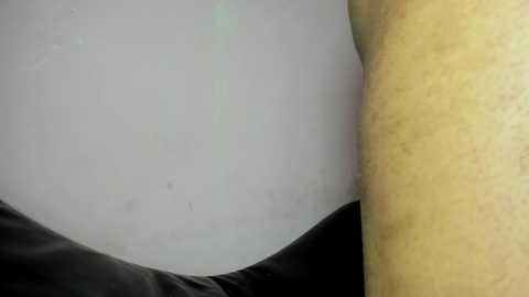 gag_project @ stripchat on 20241128