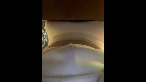 holly_molii @ stripchat on 20241128