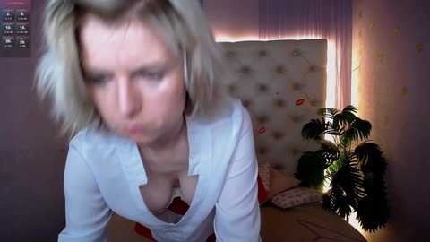 lena_paulles @ stripchat on 20241128