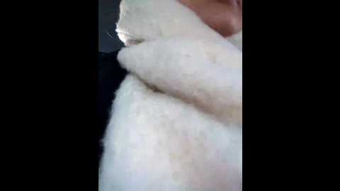 morphine_666 @ stripchat on 20241128