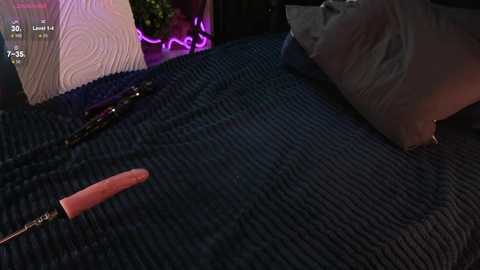 wetwhims @ stripchat on 20241128