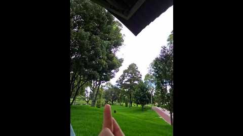 alyshanon18 @ stripchat on 20241129