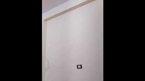 ana_popa @ stripchat on 20241129