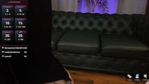 bennymurrh_ @ stripchat on 20241129