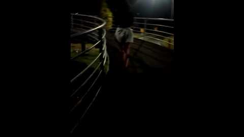 brendajarol @ stripchat on 20241129