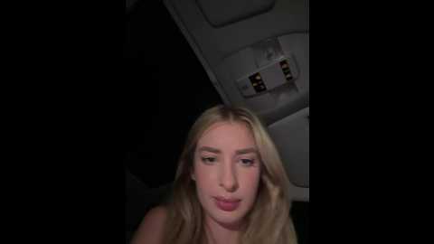 evieevans @ stripchat on 20241129