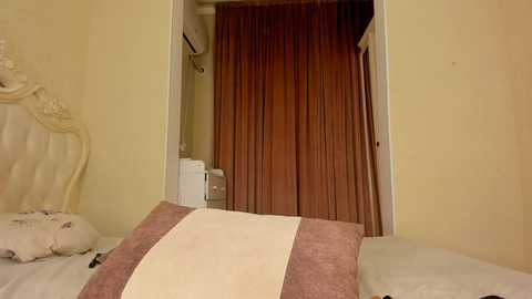 hayneiko @ stripchat on 20241129