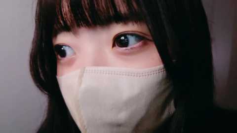 irohani_usagi @ stripchat on 20241129