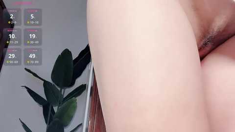 krismil3 @ stripchat on 20241129