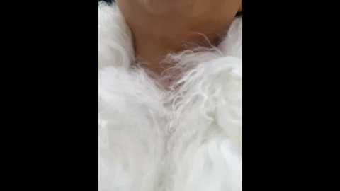 lina_twin @ stripchat on 20241129