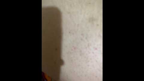 polla_rica_15