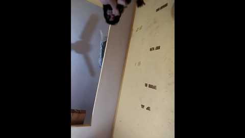 radhikadavi879 @ stripchat on 20241129