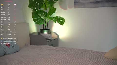 sofia_prettiness @ stripchat on 20241129