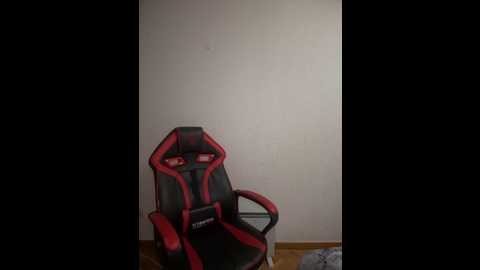 alirawrz @ stripchat on 20241130