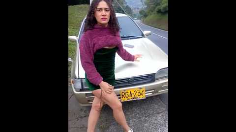brendajarol