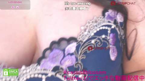 casiojapan @ stripchat on 20241130