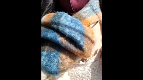 claire_xixi1 @ stripchat on 20241130