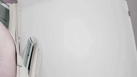 darcie_ @ stripchat on 20241130