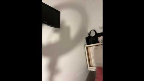 hot_malak @ stripchat on 20241130