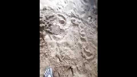 indiankanak @ stripchat on 20241130