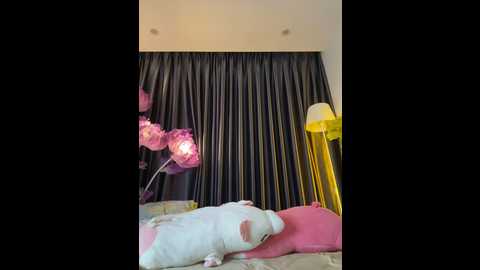 nacy_moonlight @ stripchat on 20241130