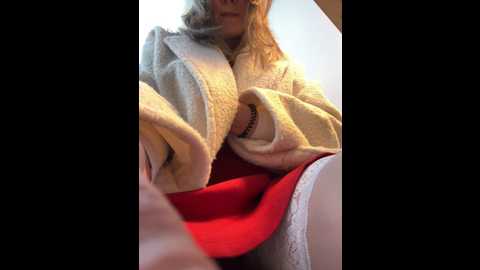 puzdosia @ stripchat on 20241130